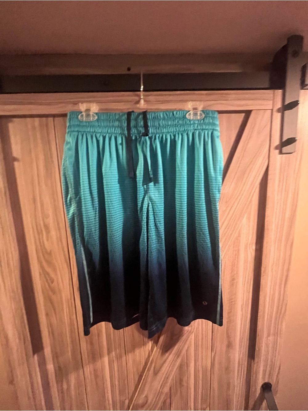 Men's Teal/Black Athletic Shorts